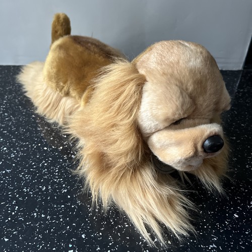 Cocker spaniel cane russ - cocker,