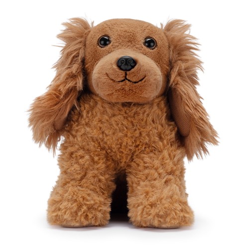 Julie cocker spaniel di - julie,