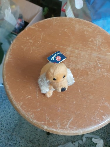 Peluche cane cocker trudi - peluche, cm