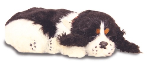 Precious petzzz respiratore - precious,