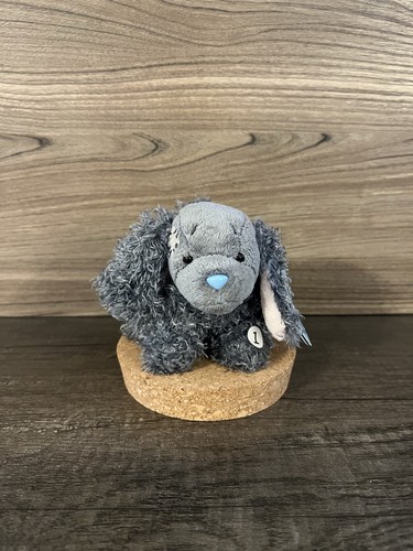 Blue nose friends nuovo - my,