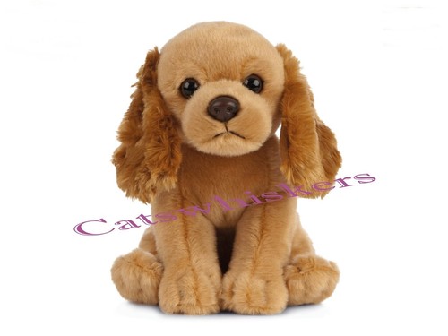 Sitting cocker spaniel - sitting,
