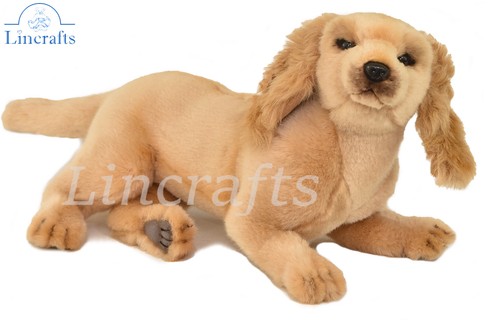 Hansa lying cocker spaniel - hansa,