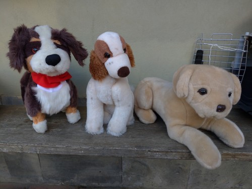 Lotto peluche stuffed toy - lotto,