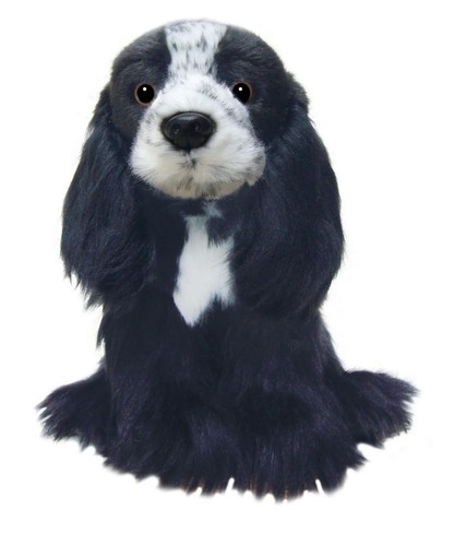 Orsacchiotto per cani