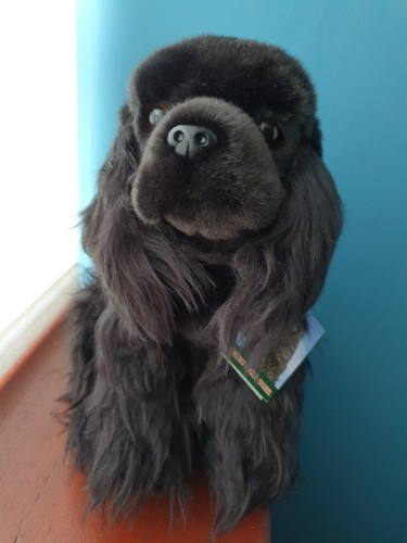 Peluche inglese cocker - inglese,