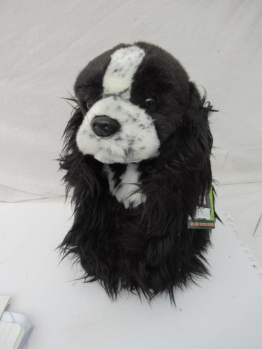 Cocker spaniel teddy sawley - cocker,