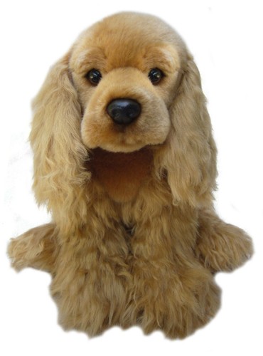 Peluche inglese cocker - peluche,