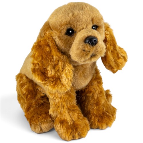 Carl dick cocker spaniel - carl,